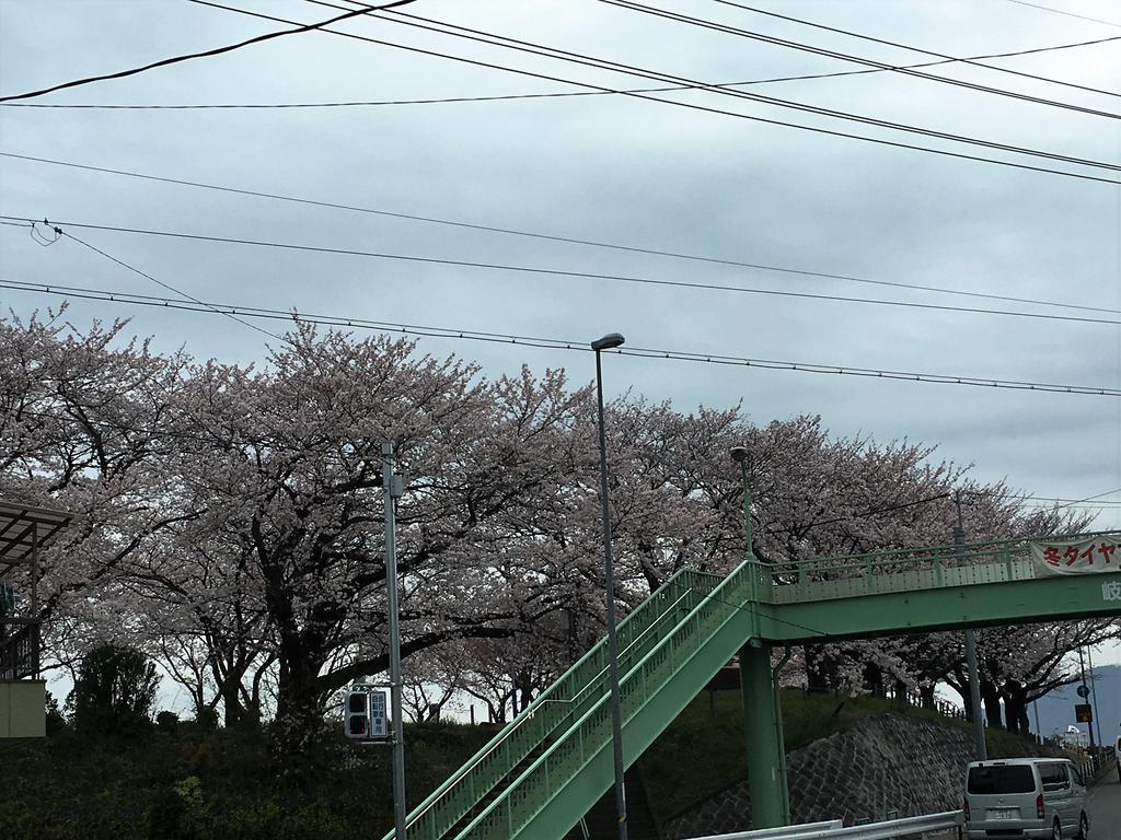 Guesthouse Kiten Gifu Eksteriør billede